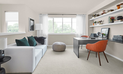 Decor & Inspiration